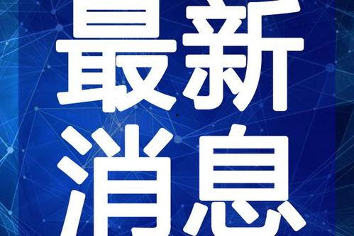 慧泊停车爆料视频大全最新,揭露行业乱象，引发公众关注