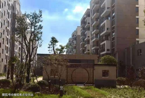 平南爆料热线最新电话,倾听民声,守护平安