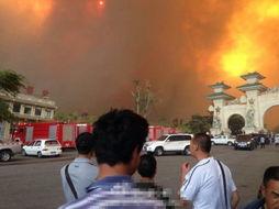 山东火灾最新爆料,悲剧背后,真相与反思交织